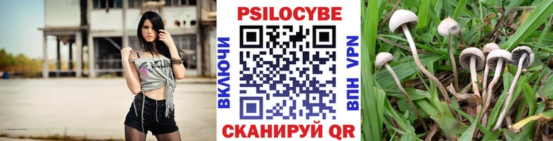 Купить закладки  Емва  Галлюциногенные грибы MAGIC MUSHROOMS 