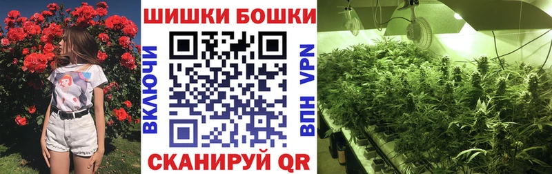 Купить закладки Емва Бошки Шишки AK-47